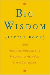 Big Wisdom
