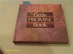 God's Little Promise Book