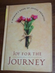 Joy for the Journey