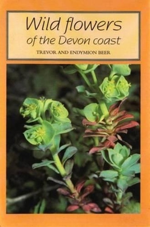 Wild Flowers of the Devon Coast
