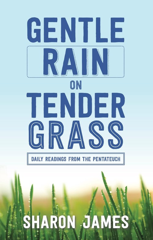 Gentle Rain on Tender Grass