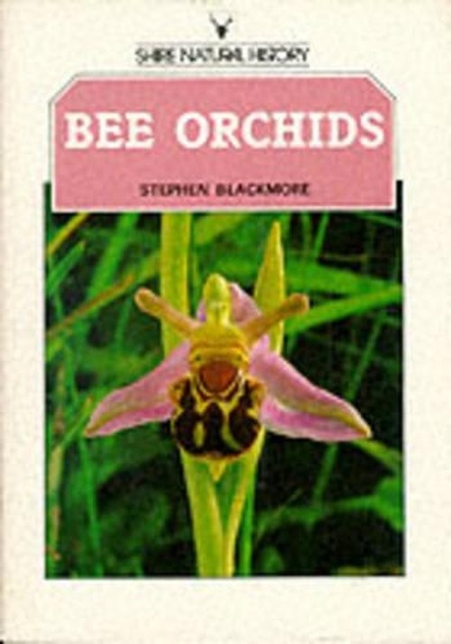 Bee Orchids