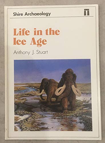 Life in the Ice Age