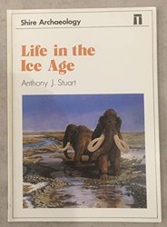 Life in the Ice Age