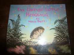 The Untidy Little Hedgehog