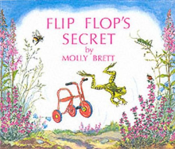 Flip Flop's Secret