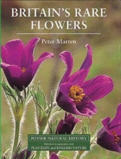 Britain's Rare Flowers
