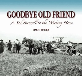 Goodbye Old Friend