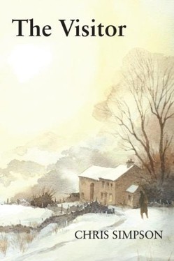 The Visitor