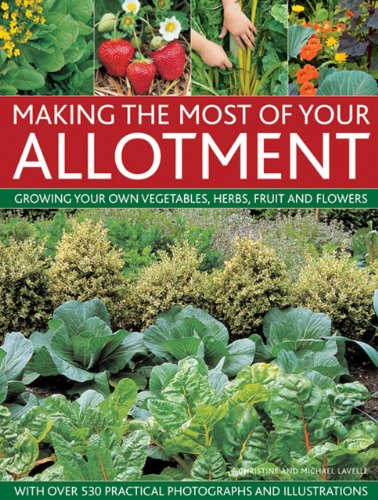 Making the Most of Your Allotment