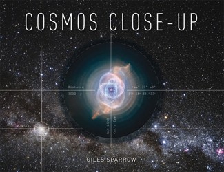 Cosmos Close-Up