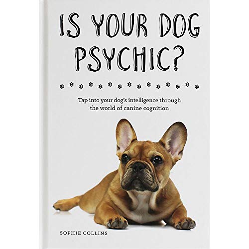 New Burlington Is Your Dog Psychic