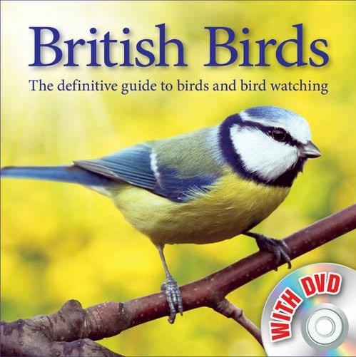 Bird Watching