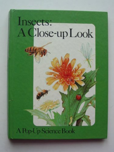 Insects