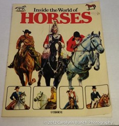 Inside the World of Horses