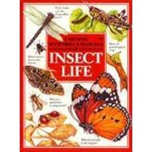 Insect Life