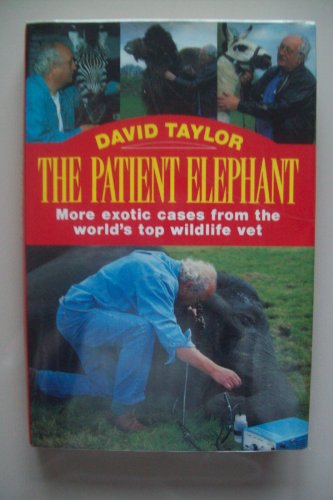 PATIENT ELEPHANT, MORE EXOTIC