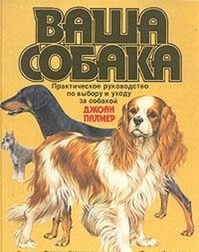 DOG OF YOUR OWN