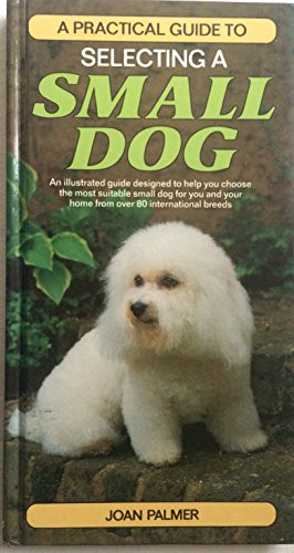 SELECTING A SMALL DOG