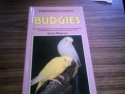 BUDGIES