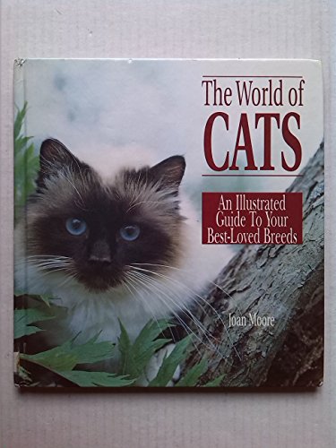 WORLD OF CATS