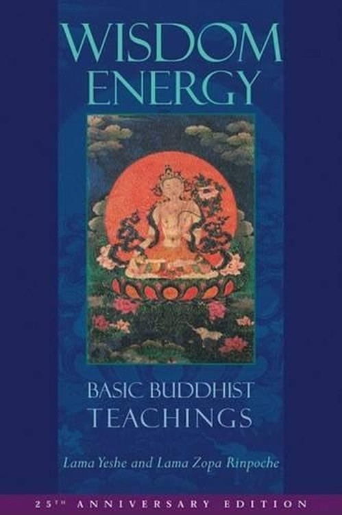 Wisdom Energy