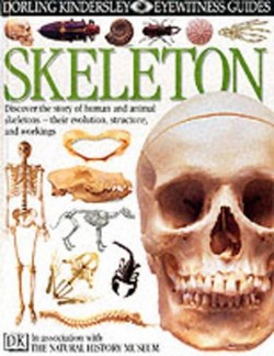 DK Eyewitness Guides:  Skeleton