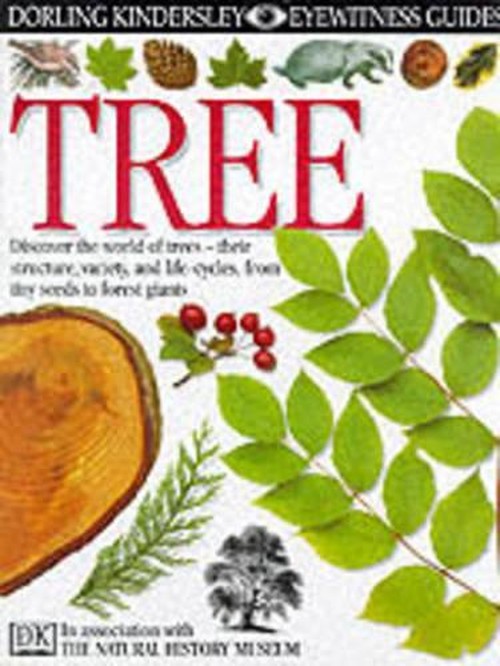 DK Eyewitness Guides:  Tree