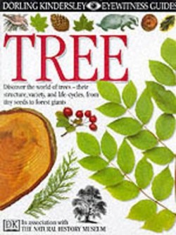DK Eyewitness Guides:  Tree