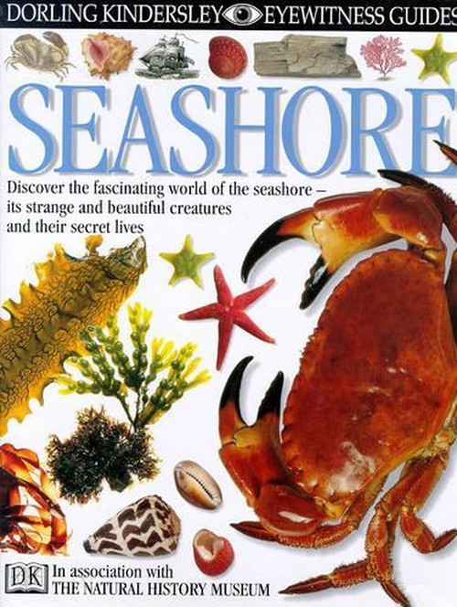 DK Eyewitness Guides: Seashore