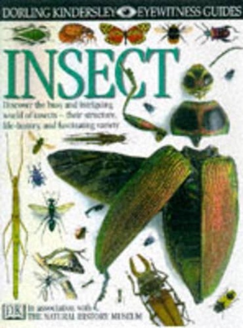 DK Eyewitness Guides:  Insect