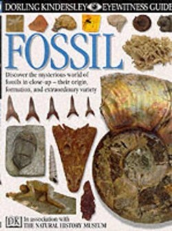 DK Eyewitness Guides:  Fossil