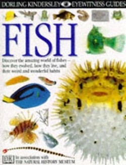DK Eyewitness Guides:  Fish