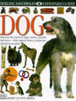 DK Eyewitness Guides:  Dog