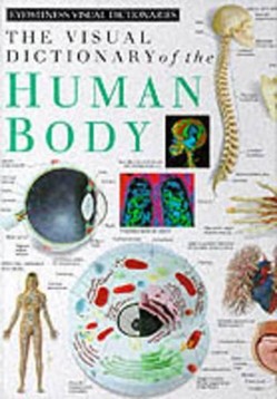 Eyewitness Visual Dictionary:  02 Human Body