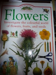 Eyewitness Explorers:  03 Flowers