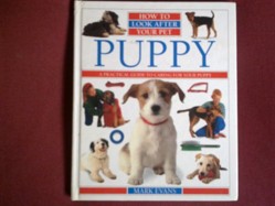 How To Look After Your Pet:  2 Puppy