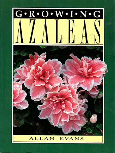 Growing Azaleas