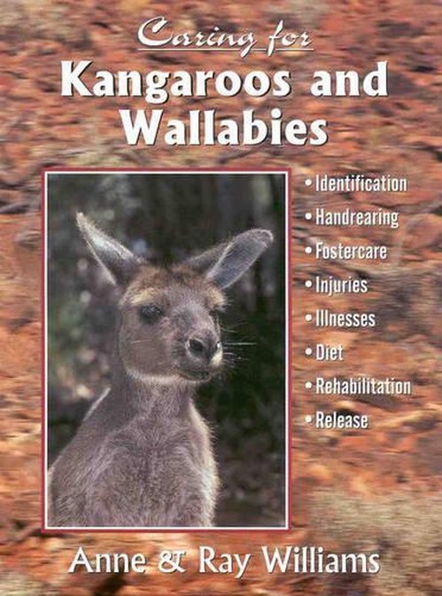 Caring for Kangaroos and Wallabies