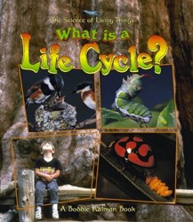 What Is A Life Cycle?