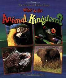What Is The Animal Kingdom?