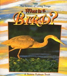 What Is A Bird