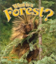 What is a Forest