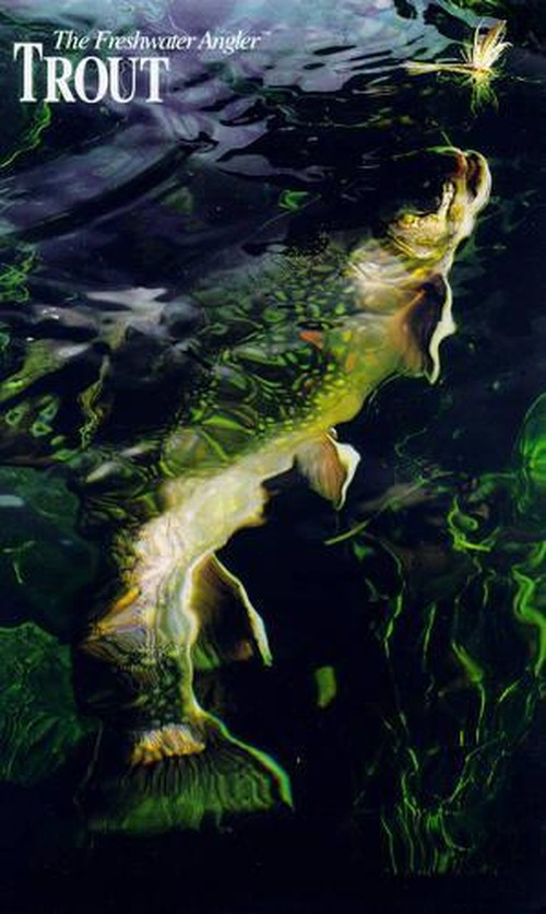 Trout