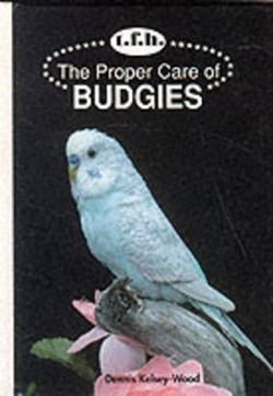 The Proper Care of Budgies