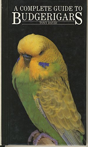 A Complete Guide to Budgerigars