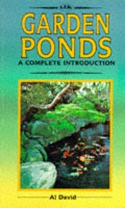 A Complete Guide to Garden Ponds