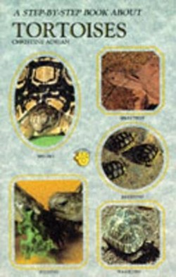 A Step-by-step Book About Tortoises
