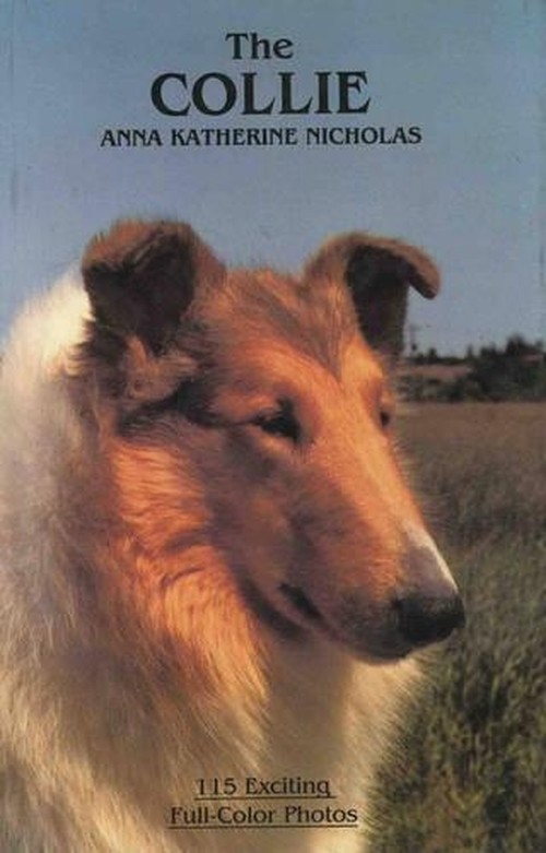 The Collie