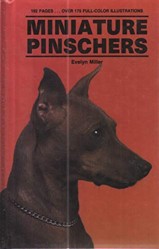 Miniature Pinschers